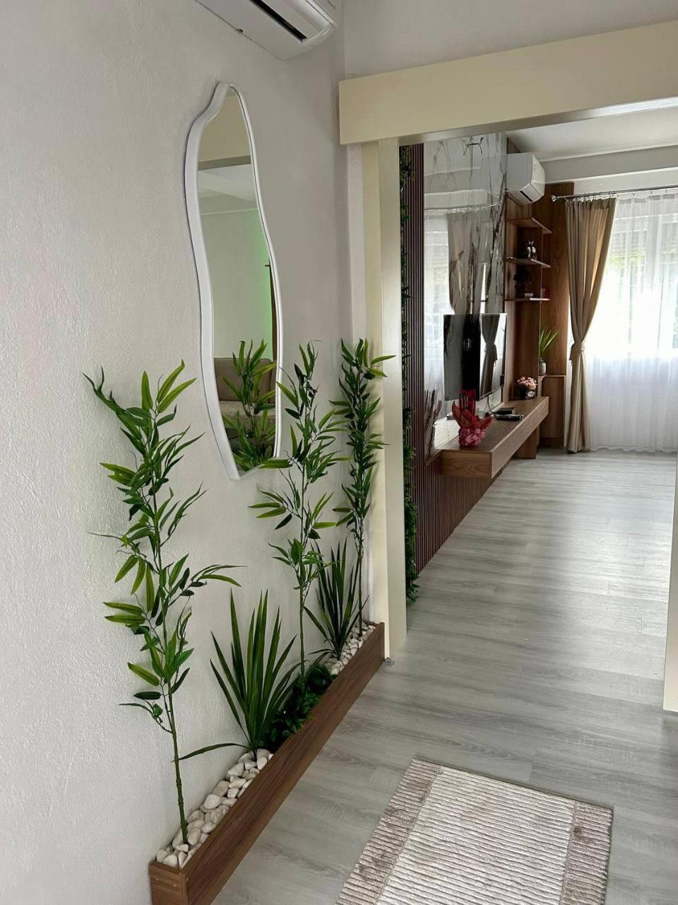 Apartment P7 *